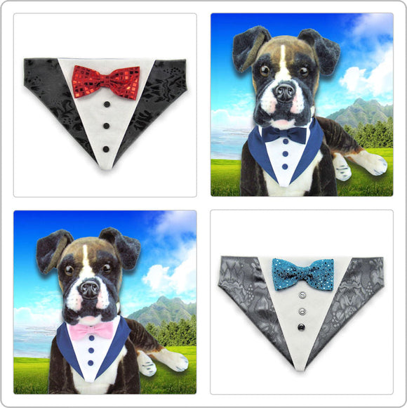 Etched In Granite Pet Bandanas