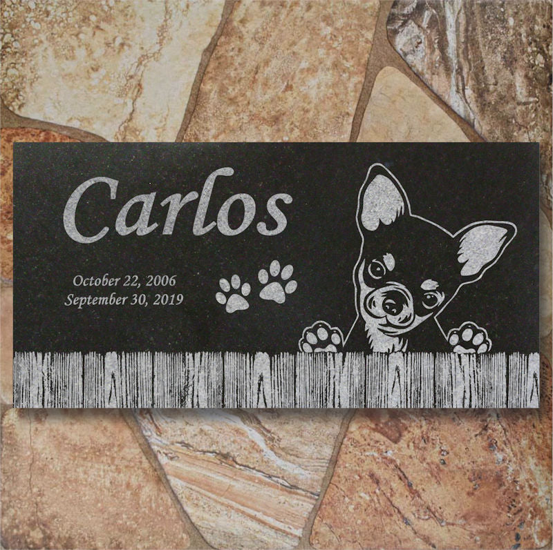 Carlos Chihuahua