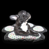 Handmade Black Pet Mat with Multi Colored Paw Prints