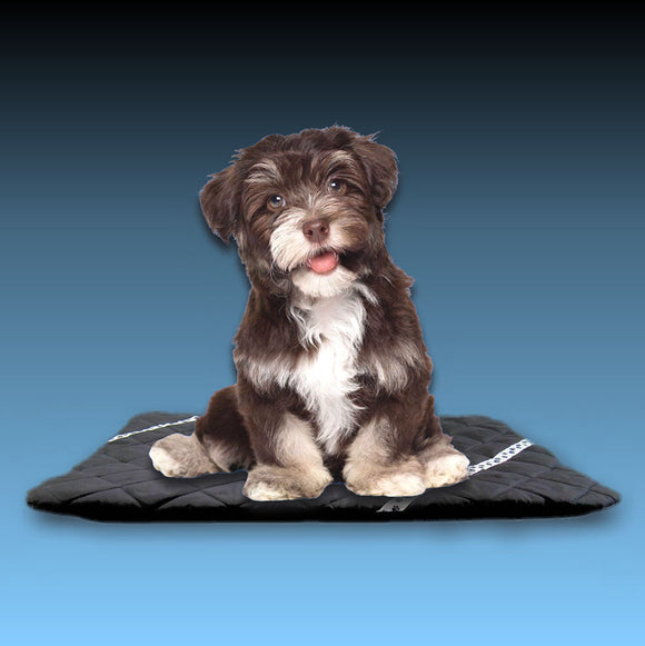 Handmade Rectangular Pet Mat with Paw Prints Ribbon