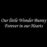 Personalized Rabbit Memorial - Granite Stone Pet Grave Marker - 6x12 - Thumper